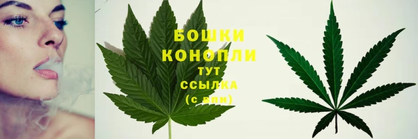 соль ск Белокуриха