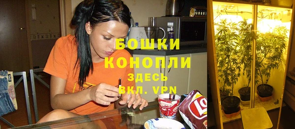 прущий лед Богородицк