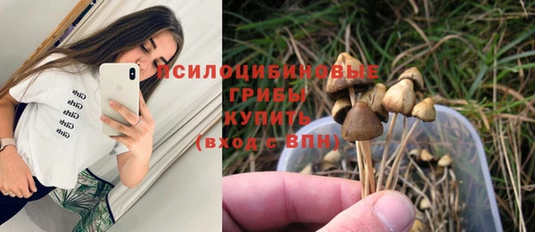 прущий лед Богородицк
