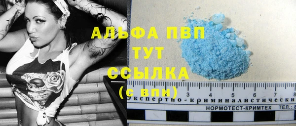 соль ск Белокуриха